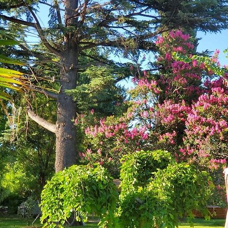 Quinta Ugarte Panzió Lujan de Cuyo Kültér fotó