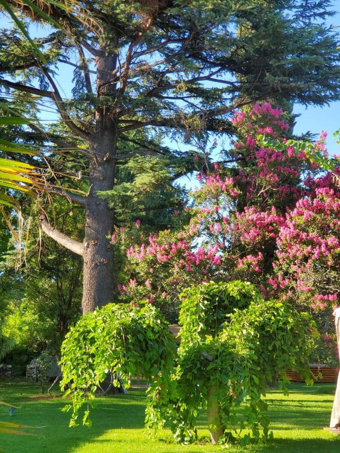 Quinta Ugarte Panzió Lujan de Cuyo Kültér fotó