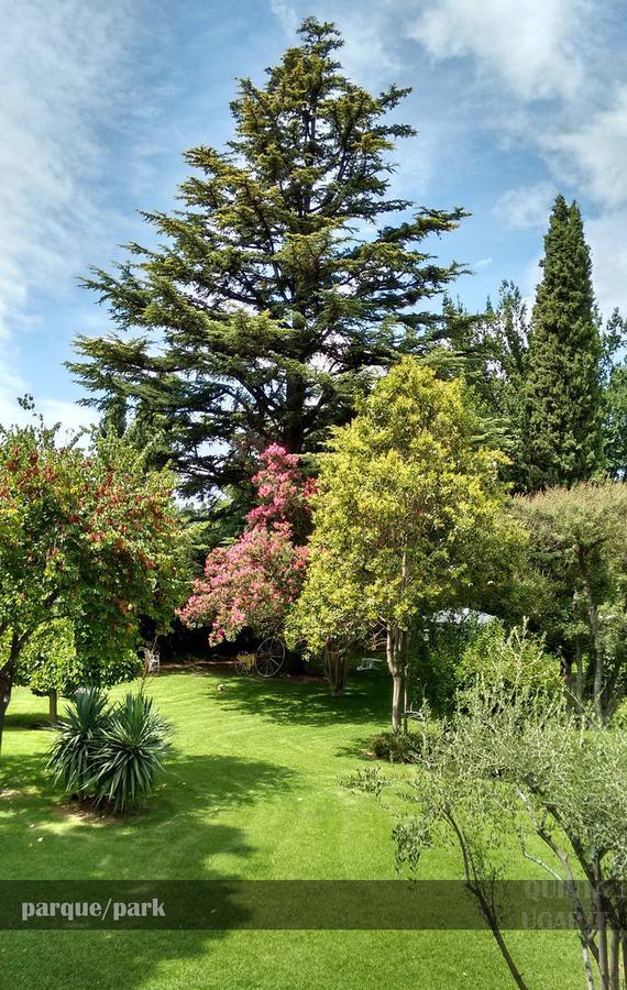 Quinta Ugarte Panzió Lujan de Cuyo Kültér fotó