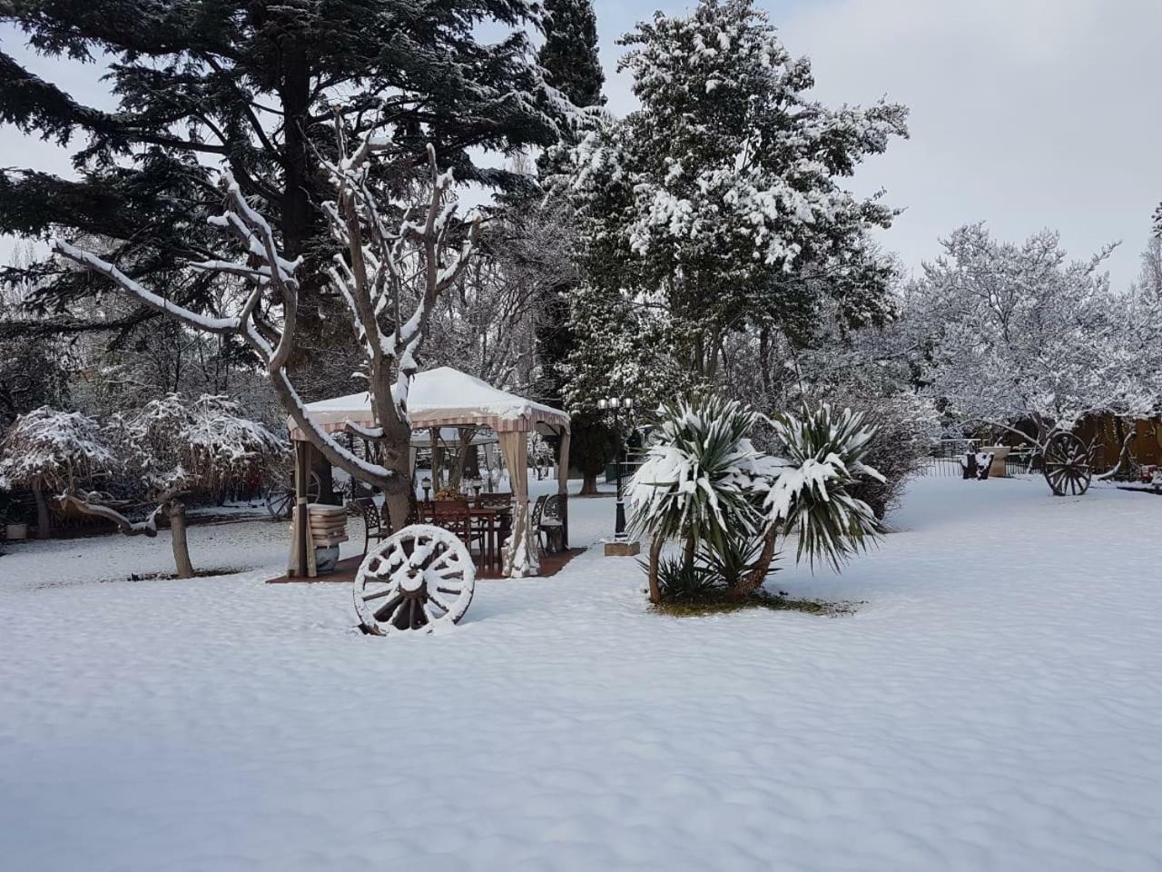 Quinta Ugarte Panzió Lujan de Cuyo Kültér fotó
